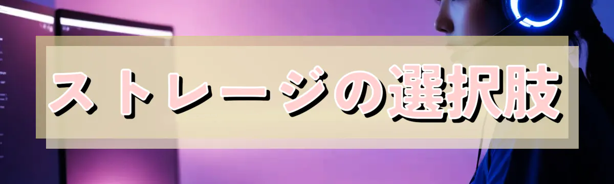 ストレージの選択肢
