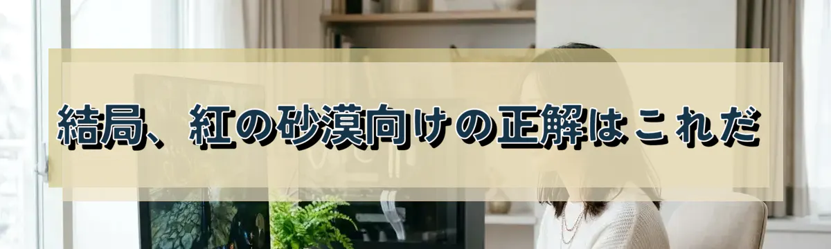 結局、紅の砂漠向けの正解はこれだ